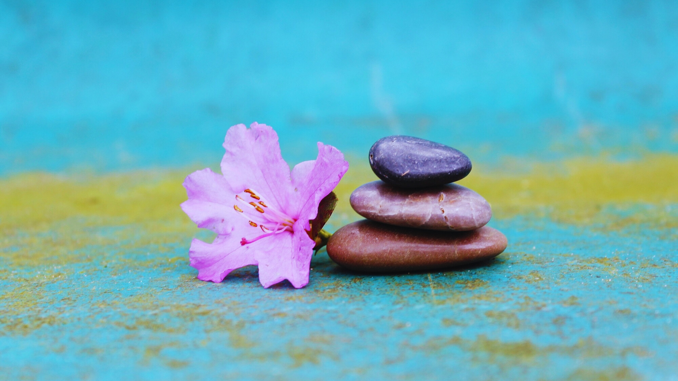 Four glistening, wet pebbles, stacked in a pyramid, rest on a sandy beach at the water's edge.
